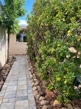 4304 Ave Palermo in Sierra Vista, AZ - Building Photo - Building Photo