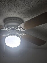 3581 NW 95th Terrace in Sunrise, FL - Building Photo - Building Photo