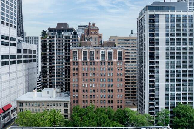 210 E Pearson St in Chicago, IL - Foto de edificio - Building Photo