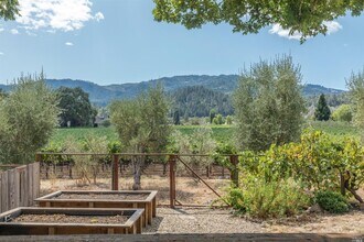 1655 Scott St in St Helena, CA - Building Photo - Building Photo
