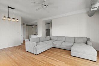 811 S Lytle St, Unit 316 in Chicago, IL - Building Photo - Building Photo