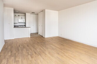 70 W Burton Pl in Chicago, IL - Building Photo - Building Photo