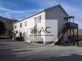 52 Smith Lake Rd in Leicester, NC - Building Photo