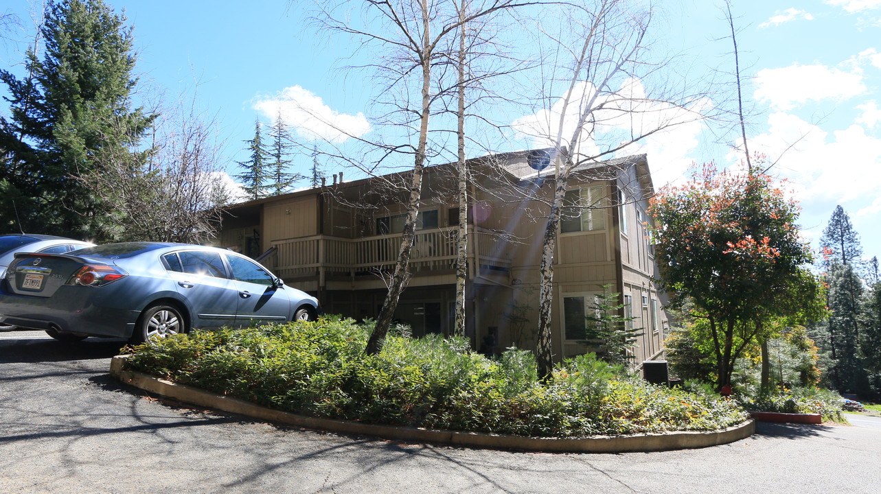 Park Forest Apartments in Pollock Pines, CA - Building Photo