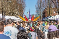 Pet Friendly Apartments in Seattle, WA