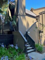 516 Thain Way in Palo Alto, CA - Building Photo