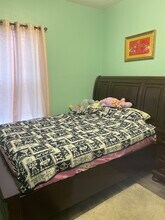 8649 Brookvale Dr in Windermere, FL - Building Photo - Building Photo