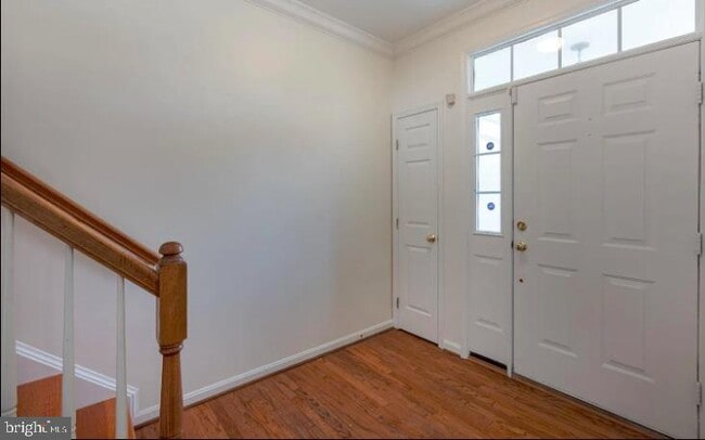 46801 Sweet Birch Terrace