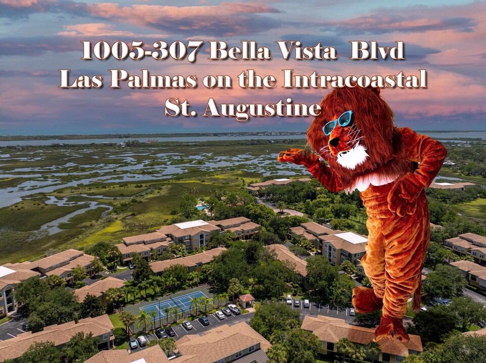 1005 Bella Vista Blvd in St. Augustine, FL - Foto de edificio