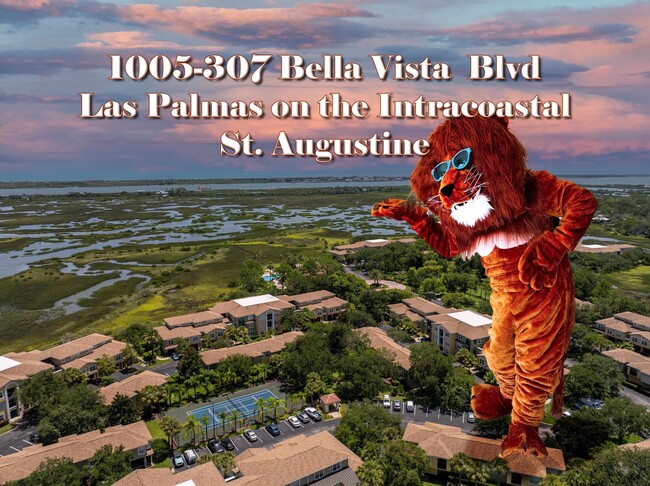 property at 1005 Bella Vista Blvd