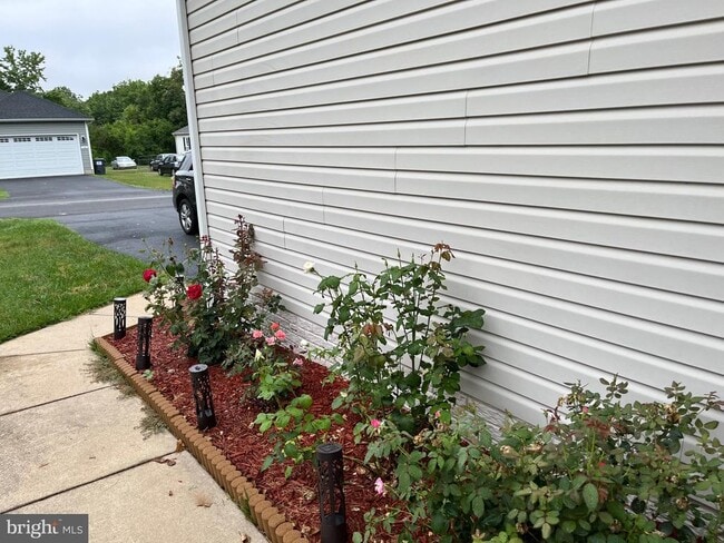 113 Hotchkiss St in Fredericksburg, VA - Building Photo - Building Photo