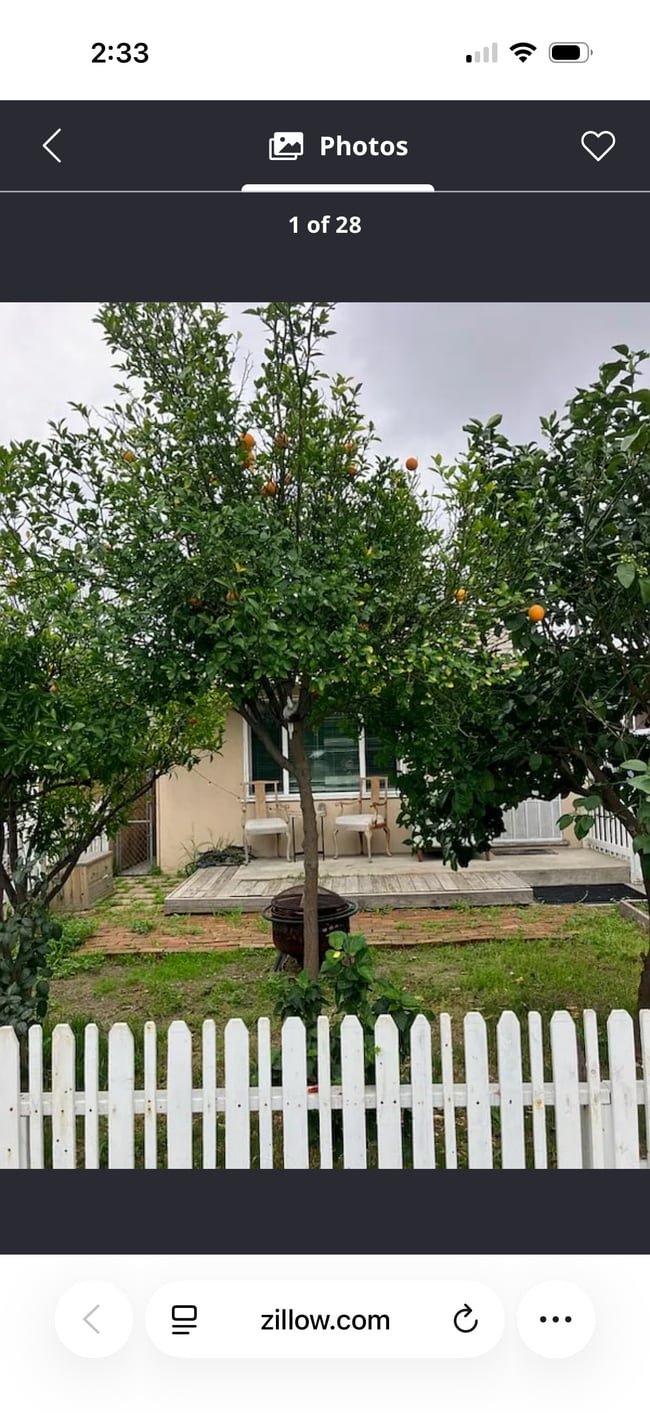 3312 W Chandler Blvd in Burbank, CA - Building Photo - Building Photo