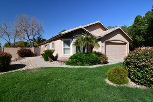 13140 W Virginia Ct in Goodyear, AZ - Building Photo