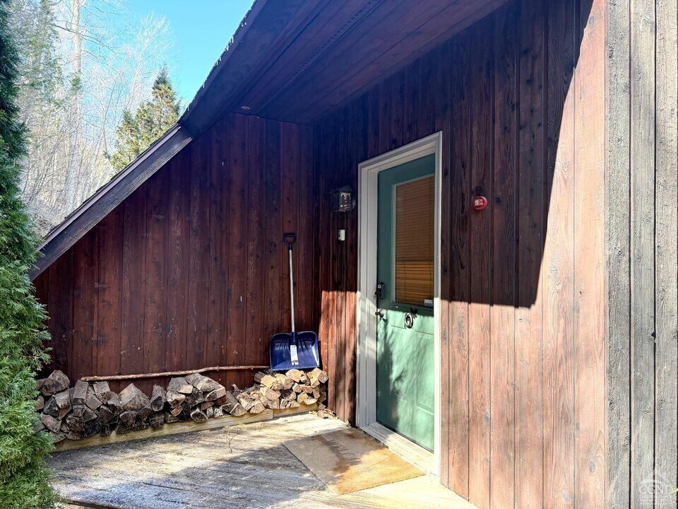 121 Brainard Ridge Rd in Windham, NY - Building Photo