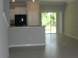 13286 Dupree Hills Pl in Riverview, FL - Foto de edificio - Building Photo