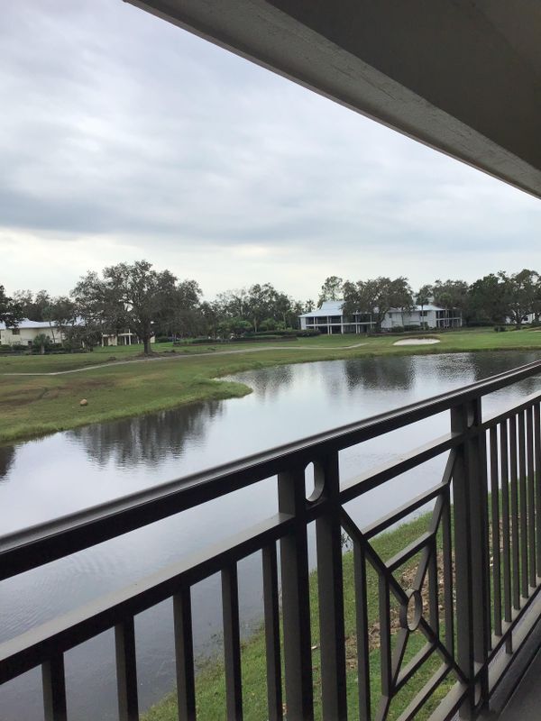 29300 Bay Hollow Dr in Wesley Chapel, FL - Building Photo - Building Photo