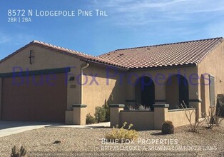 8572 N Lodgepole Pine Trail in Tucson, AZ - Building Photo - Building Photo