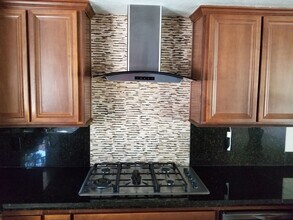 3028 Delfina Pl in Carlsbad, CA - Building Photo - Building Photo