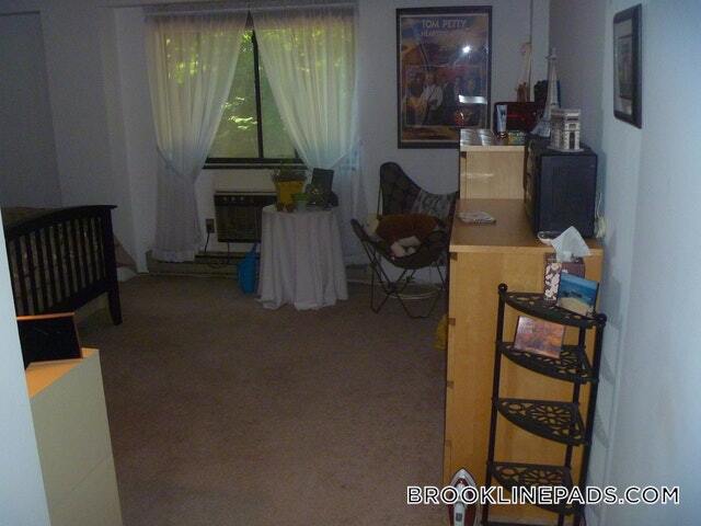 135 Pleasant St, Unit 207 in Brookline, MA - Building Photo - Building Photo