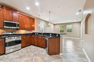 11224 Roseate Dr in Tampa, FL - Building Photo - Building Photo