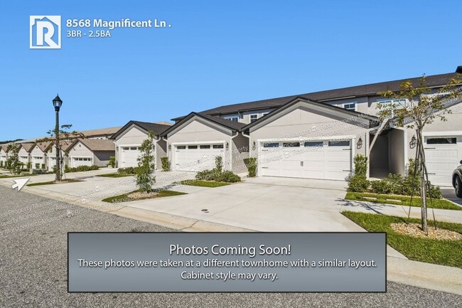 property at 8568 Magnificent Ln