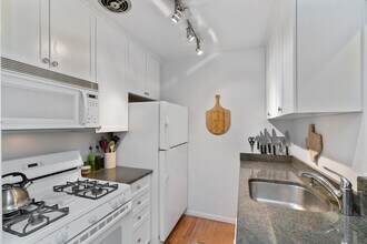 455 W St James Pl-Unit -301 in Chicago, IL - Building Photo - Building Photo