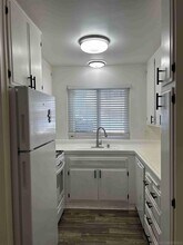 2006 Diamond St in San Diego, CA - Building Photo - Building Photo