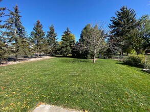 2 Bed 1 Bath Home in NE Fort Collins! in Fort Collins, CO - Building Photo - Building Photo