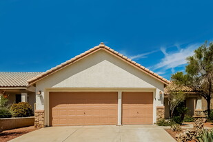 245 Leaf Bud Ct in Henderson, NV - Building Photo