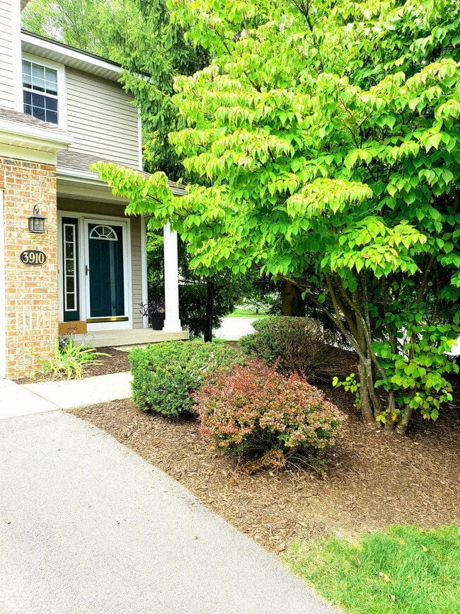 property at 3910 Old Elm Dr SE