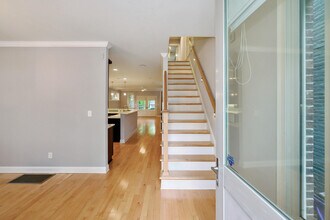 359 S Upper St in Lexington, KY - Building Photo - Building Photo