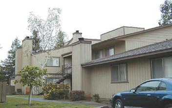 Stonetree Townhomes Apartments in Lodi, CA - Building Photo - Building Photo