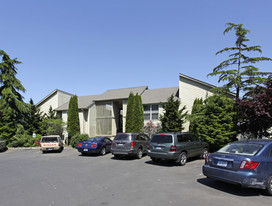 Ocean Beach Condos Apartments