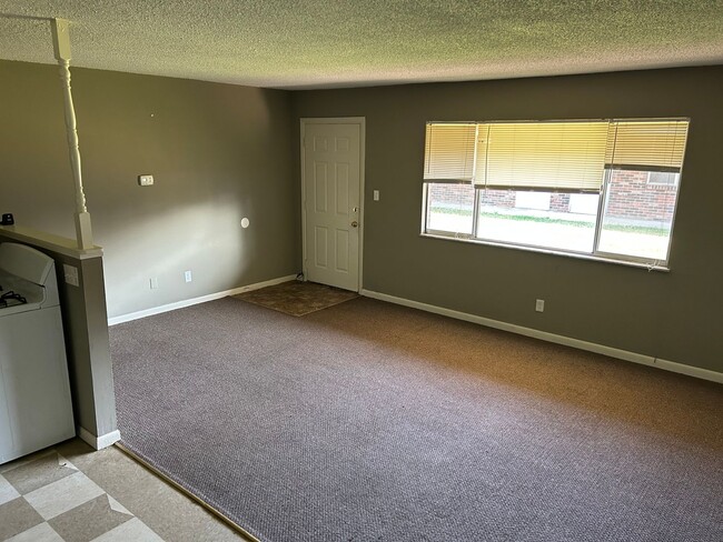 217 N Hamilton St in Shelbyville, IN - Building Photo - Building Photo