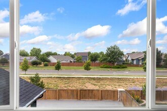 1495 S Plumeria Dr in Milliken, CO - Building Photo - Building Photo