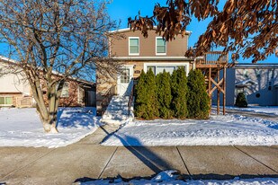 113 Washington Ave in La Grange, IL - Building Photo