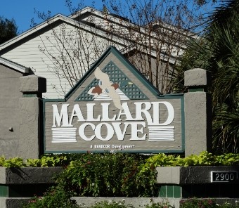 Mallard Cove Apartments in Atlantic Beach, FL - Foto de edificio - Building Photo