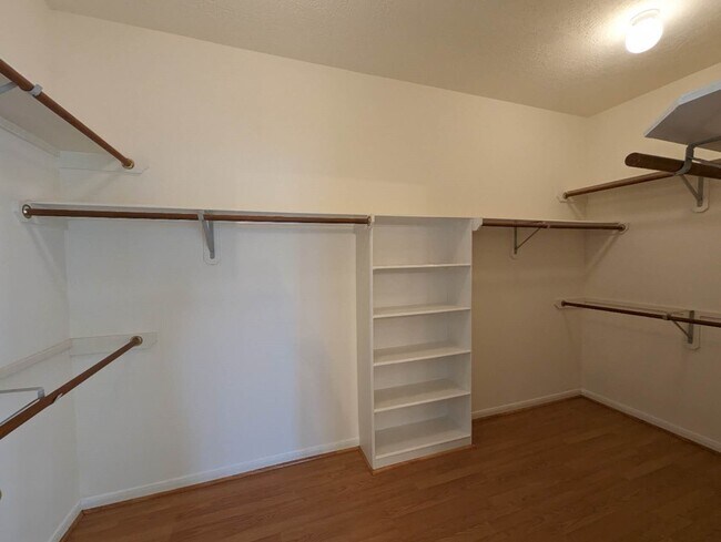 1822 American Elm Ct in Sugar Land, TX - Building Photo - Building Photo