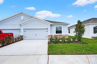 31463 Paper Birch St in Wesley Chapel, FL - Building Photo
