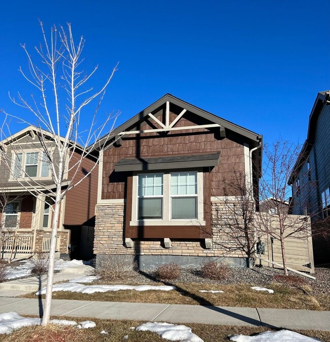 4738 Jasper St in Denver, CO - Building Photo - Building Photo
