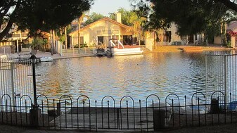 11009 W Crimson Ln in Avondale, AZ - Building Photo