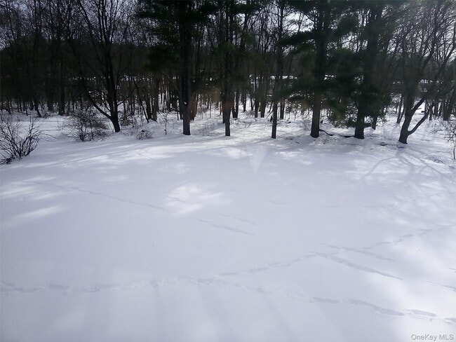 107 Barnes Rd in Washingtonville, NY - Building Photo - Building Photo