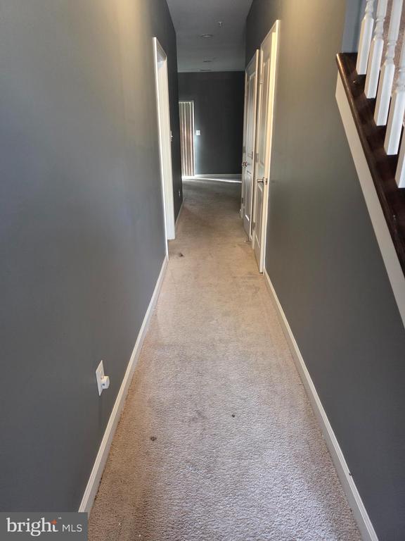 8248 White Star Crossing in Pasadena, MD - Building Photo - Building Photo