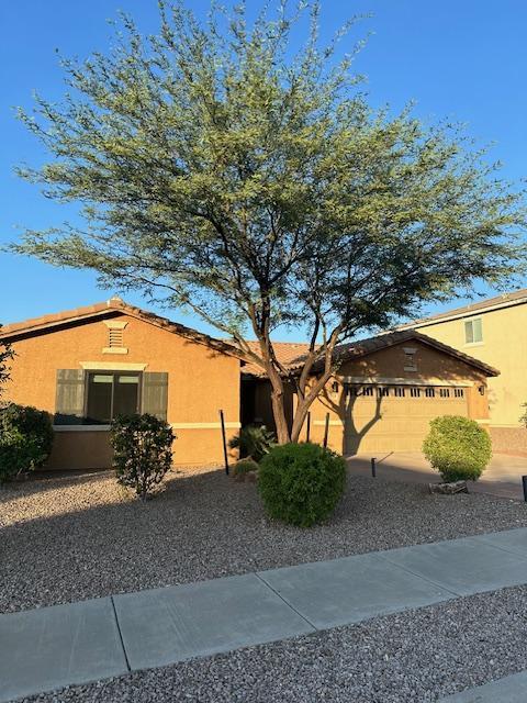 749 S Baker James Cauthen Pl in Vail, AZ - Building Photo - Building Photo