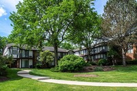 Alpine Court Apartments photo'