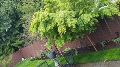 1033 Chelan Ave NE in Renton, WA - Building Photo - Building Photo