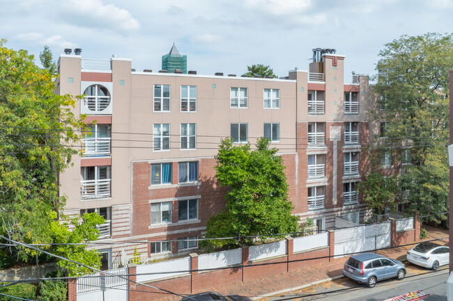 Davenport Apartments in Cambridge, MA - Building Photo - Building Photo