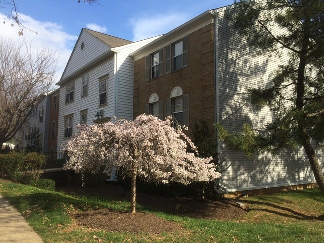 7753 New Providence Dr, Unit 84 in Falls Church, VA - Building Photo - Building Photo