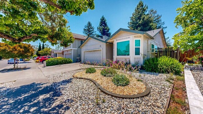 property at 1107 Navarro St