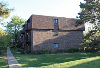 Dynasty Pointe Apartments in Woodridge, IL - Foto de edificio - Building Photo